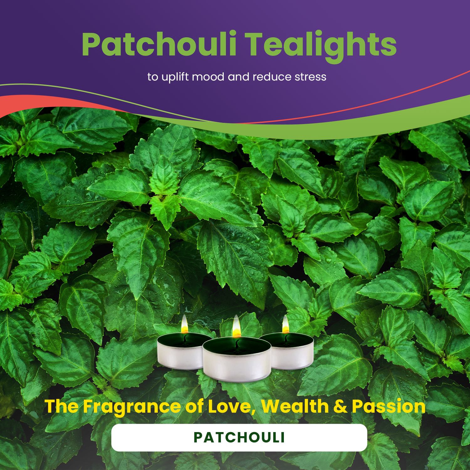 Scented Tealights Bundle - Sandalwood & Patchouli - 30 Pack each