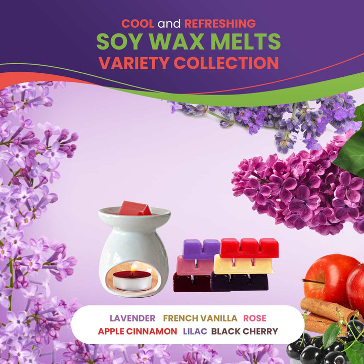 Scented Wax Melts Soy Wax Cubes - 6 Fragrances X 6 Cubes - Lavender, Vanilla, Rose, Apple Cinnamon, Lilac and Black Cherry, Made in USA