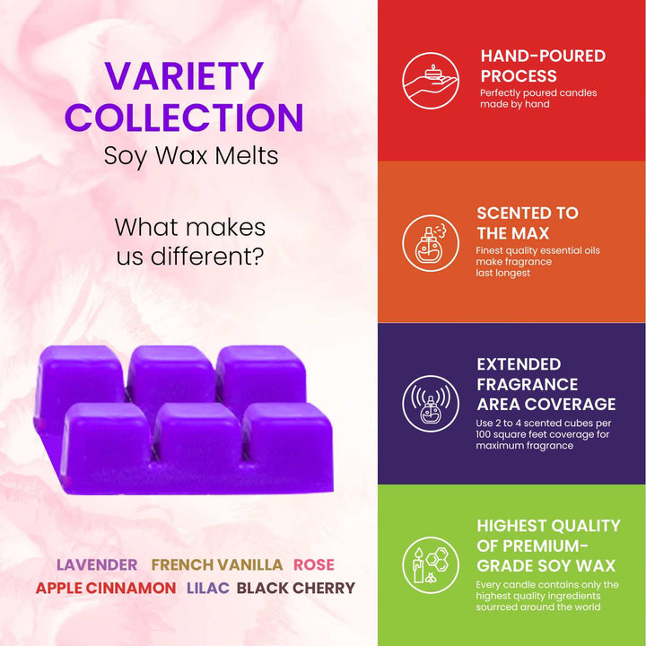 Scented Wax Melts Soy Wax Cubes - 6 Fragrances X 6 Cubes - Lavender, Vanilla, Rose, Apple Cinnamon, Lilac and Black Cherry, Made in USA