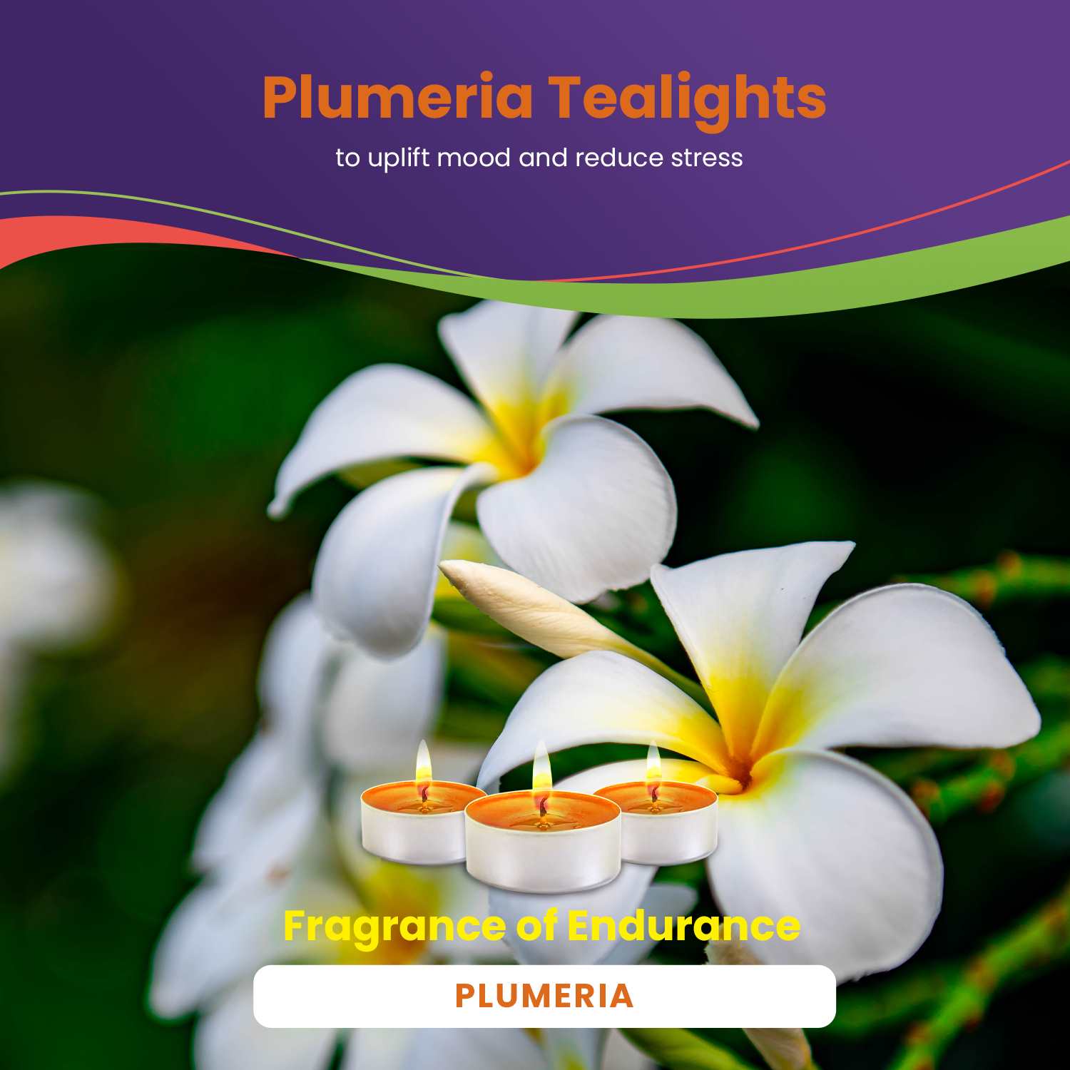 Plumeria Scented Tealight Candles - 30 Pack