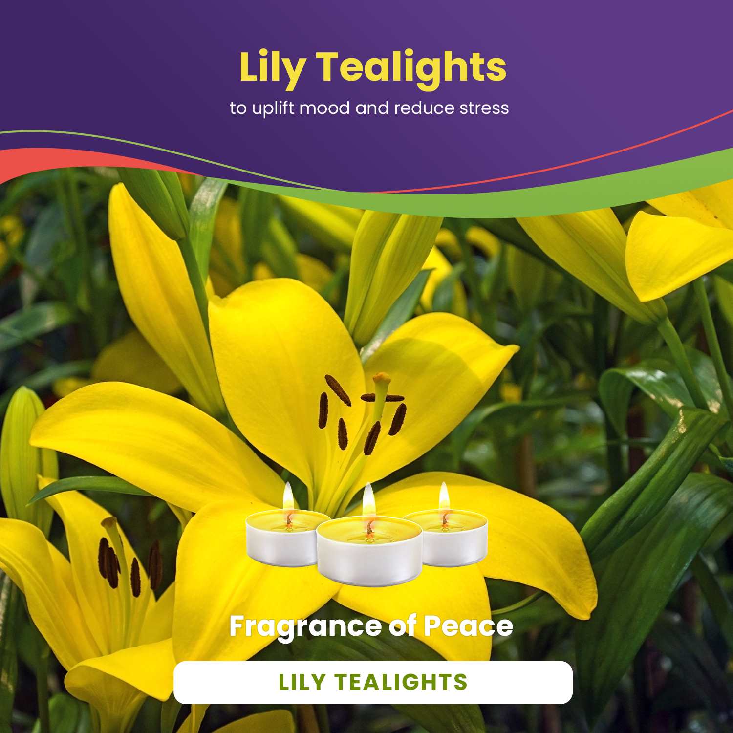 Lily Scented Tealight Candles - 30 Pack